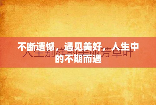 不断遗憾，遇见美好，人生中的不期而遇