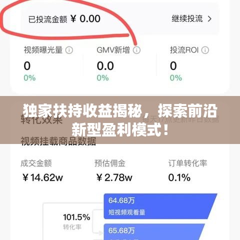 独家扶持收益揭秘，探索前沿新型盈利模式！