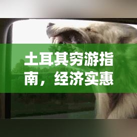 土耳其穷游指南，经济实惠的旅行体验攻略