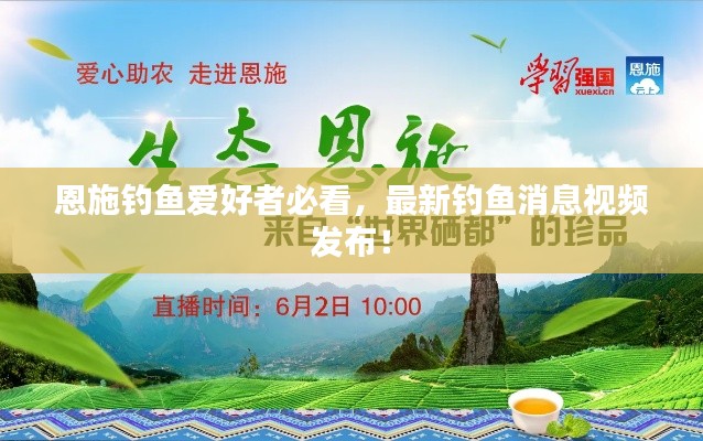 恩施钓鱼爱好者必看，最新钓鱼消息视频发布！