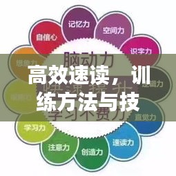 高效速读，训练方法与技巧