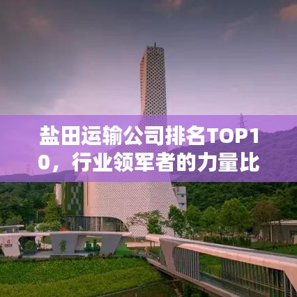 盐田运输公司排名TOP10，行业领军者的力量比拼