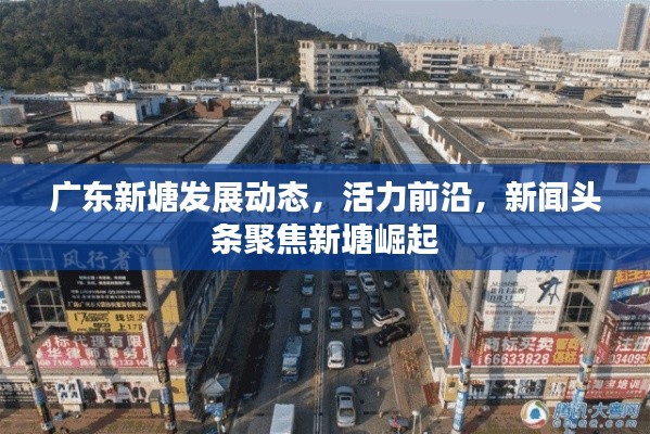 广东新塘发展动态，活力前沿，新闻头条聚焦新塘崛起