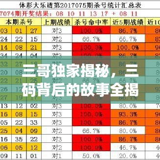 三哥独家揭秘，三码背后的故事全揭秘
