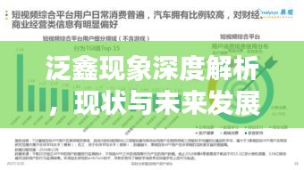 泛鑫现象深度解析，现状与未来发展趋势专题探索