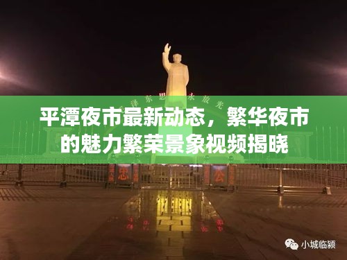 平潭夜市最新动态，繁华夜市的魅力繁荣景象视频揭晓