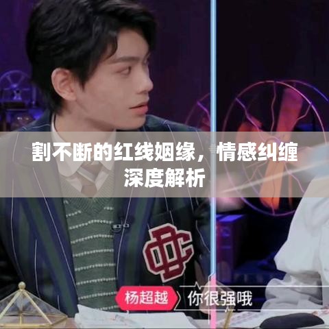割不断的红线姻缘，情感纠缠深度解析
