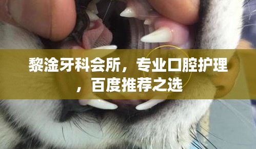 黎淦牙科会所，专业口腔护理，百度推荐之选