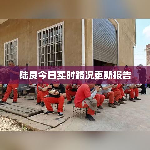 陆良今日实时路况更新报告