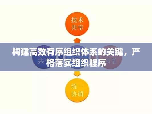 构建高效有序组织体系的关键，严格落实组织程序