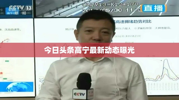 今日头条高宁最新动态曝光