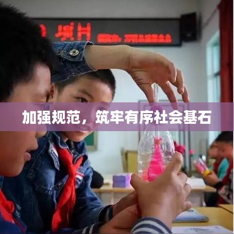 加强规范，筑牢有序社会基石