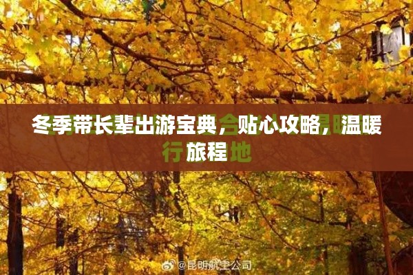 冬季带长辈出游宝典，贴心攻略，温暖旅程