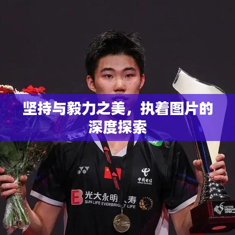 坚持与毅力之美，执着图片的深度探索