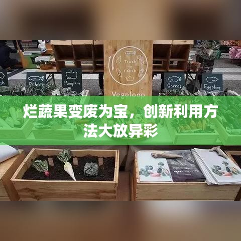 烂蔬果变废为宝，创新利用方法大放异彩