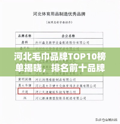 河北毛巾品牌TOP10榜单揭晓，排名前十品牌大揭秘！