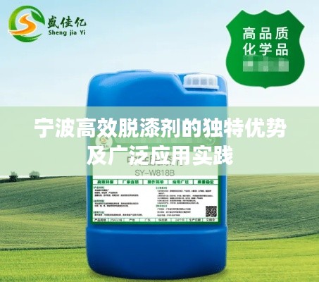 宁波高效脱漆剂的独特优势及广泛应用实践
