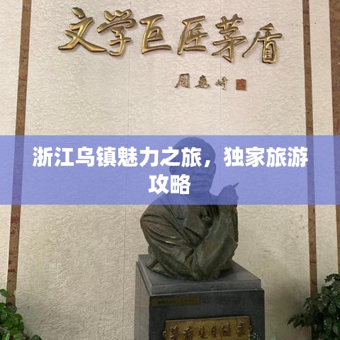 浙江乌镇魅力之旅，独家旅游攻略