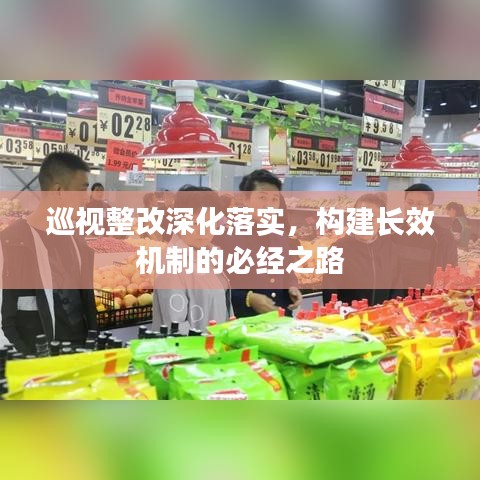 巡视整改深化落实，构建长效机制的必经之路