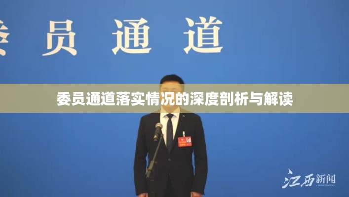 委员通道落实情况的深度剖析与解读