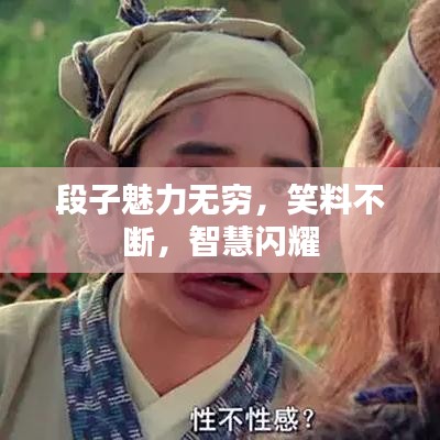 段子魅力无穷，笑料不断，智慧闪耀