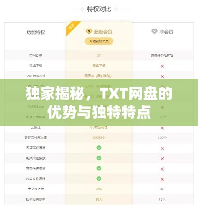 独家揭秘，TXT网盘的优势与独特特点