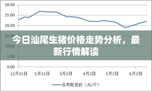 今日汕尾生猪价格走势分析，最新行情解读