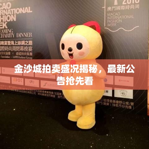 金沙城拍卖盛况揭秘，最新公告抢先看