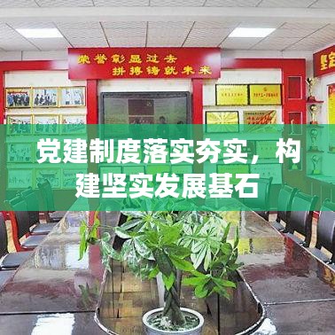 党建制度落实夯实，构建坚实发展基石