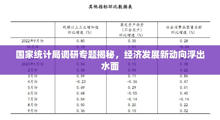 国家统计局调研专题揭秘，经济发展新动向浮出水面