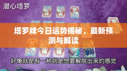 塔罗牌今日运势揭秘，最新预测与解读