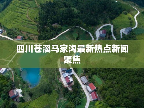 四川苍溪马家沟最新热点新闻聚焦