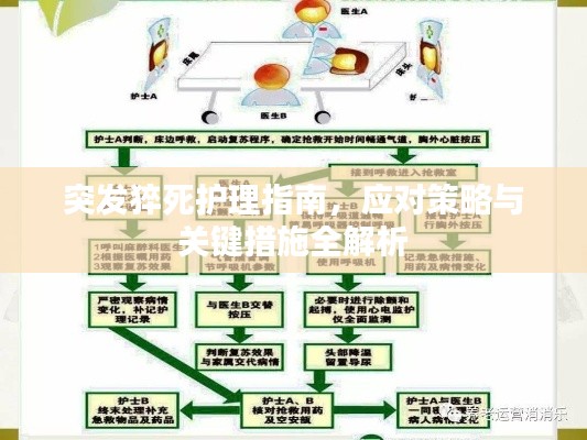 质而不俚