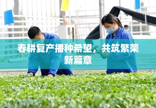 春耕复产播种希望，共筑繁荣新篇章