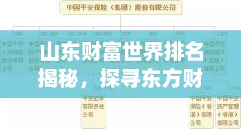 山东财富世界排名揭秘，探寻东方财赋的新视角