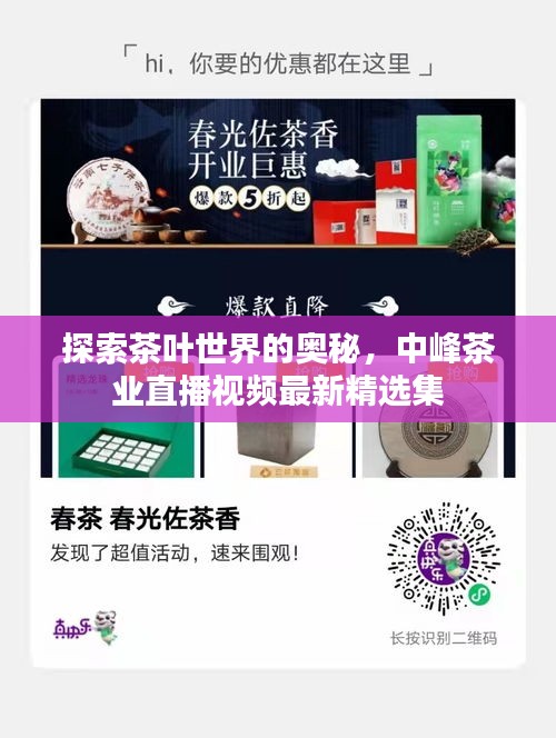 探索茶叶世界的奥秘，中峰茶业直播视频最新精选集