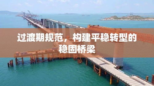 过渡期规范，构建平稳转型的稳固桥梁