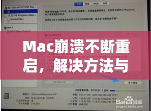 仪表堂堂