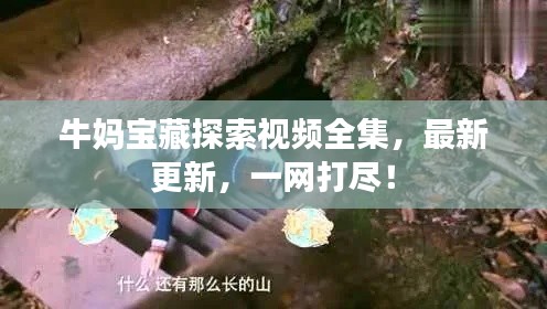 牛妈宝藏探索视频全集，最新更新，一网打尽！