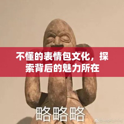 不懂的表情包文化，探索背后的魅力所在