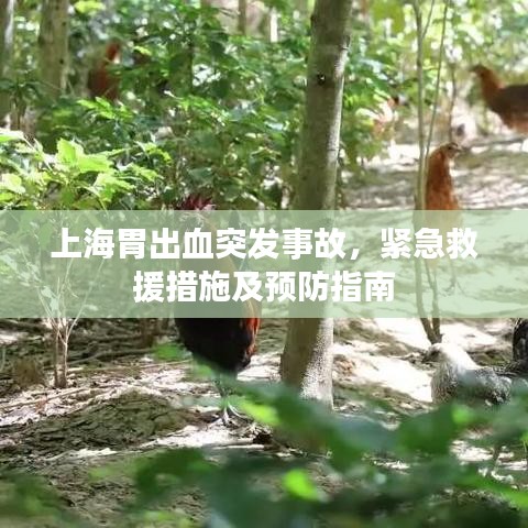 上海胃出血突发事故，紧急救援措施及预防指南
