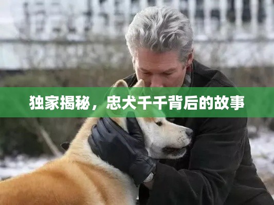 唾沫横飞