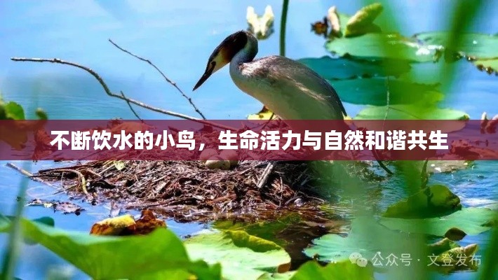 省吃俭用