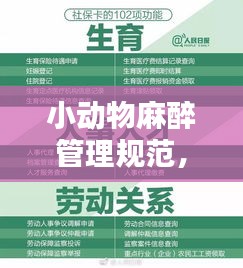 小动物麻醉管理规范，保障动物福利与安全的操作指南