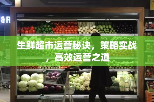 生鲜超市运营秘诀，策略实战，高效运营之道