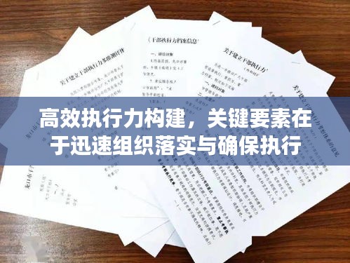 高效执行力构建，关键要素在于迅速组织落实与确保执行