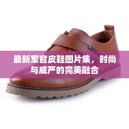 最新军官皮鞋图片集，时尚与威严的完美融合