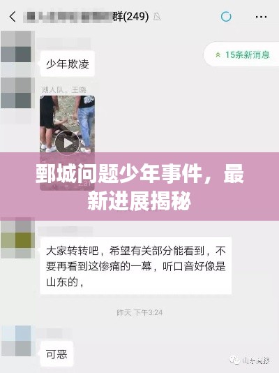 鄄城问题少年事件，最新进展揭秘