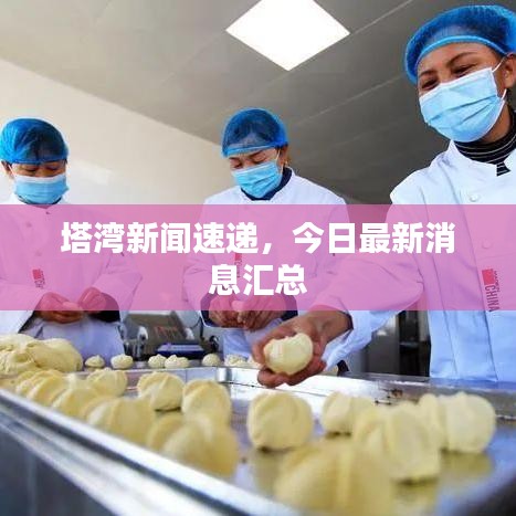 塔湾新闻速递，今日最新消息汇总