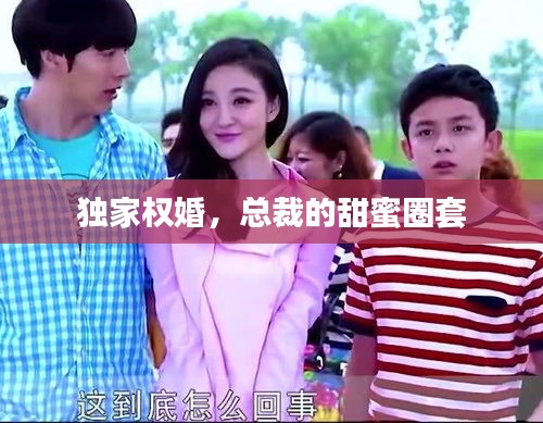 独家权婚，总裁的甜蜜圈套